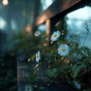 ヒメ日記 2025/10/27 08:15 投稿 舞(まい) ロケットワイフ