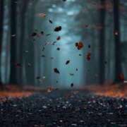 ヒメ日記 2025/10/27 22:30 投稿 舞(まい) ロケットワイフ