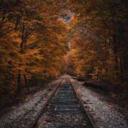 ヒメ日記 2025/10/29 11:07 投稿 舞(まい) ロケットワイフ