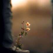 ヒメ日記 2025/10/30 22:28 投稿 舞(まい) ロケットワイフ