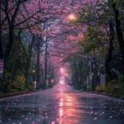 ヒメ日記 2025/10/31 12:16 投稿 舞(まい) ロケットワイフ