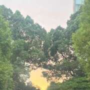 ヒメ日記 2025/11/05 11:40 投稿 舞(まい) ロケットワイフ