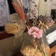 ヒメ日記 2025/11/05 23:13 投稿 舞(まい) ロケットワイフ