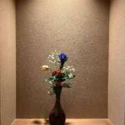 ヒメ日記 2025/11/19 09:43 投稿 舞(まい) ロケットワイフ