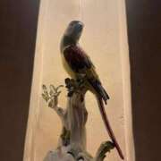 ヒメ日記 2025/11/21 22:31 投稿 舞(まい) ロケットワイフ