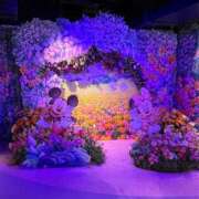 ヒメ日記 2025/11/26 16:22 投稿 舞(まい) ロケットワイフ