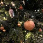 ヒメ日記 2025/12/02 07:41 投稿 舞(まい) ロケットワイフ