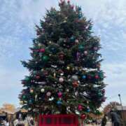 ヒメ日記 2025/12/03 23:07 投稿 舞(まい) ロケットワイフ