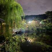 舞(まい) 本日~ ロケットワイフ