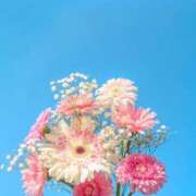 舞(まい) [お題]from:クリーミー王子さん ロケットワイフ