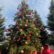 ヒメ日記 2025/12/09 22:22 投稿 舞(まい) ロケットワイフ