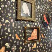 ヒメ日記 2025/12/12 16:39 投稿 舞(まい) ロケットワイフ