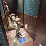 ヒメ日記 2025/12/15 19:18 投稿 舞(まい) ロケットワイフ