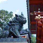 ヒメ日記 2025/12/16 19:56 投稿 舞(まい) ロケットワイフ