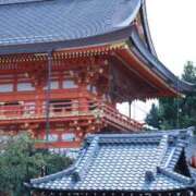 ヒメ日記 2025/12/17 13:21 投稿 舞(まい) ロケットワイフ