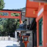 ヒメ日記 2025/12/18 10:08 投稿 舞(まい) ロケットワイフ