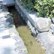 ヒメ日記 2025/12/19 08:15 投稿 舞(まい) ロケットワイフ