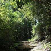 舞(まい) [お題]from:columbooさん ロケットワイフ