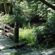 ヒメ日記 2025/12/30 08:17 投稿 舞(まい) ロケットワイフ