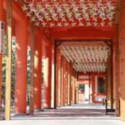 ヒメ日記 2025/12/31 18:38 投稿 舞(まい) ロケットワイフ