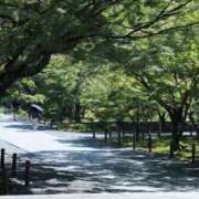 ヒメ日記 2026/01/02 08:51 投稿 舞(まい) ロケットワイフ