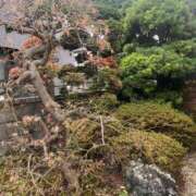 ヒメ日記 2026/01/06 12:36 投稿 舞(まい) ロケットワイフ