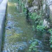 ヒメ日記 2026/01/07 12:16 投稿 舞(まい) ロケットワイフ