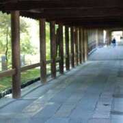 ヒメ日記 2026/01/11 11:03 投稿 舞(まい) ロケットワイフ