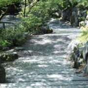 ヒメ日記 2026/01/19 21:20 投稿 舞(まい) ロケットワイフ