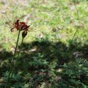 ヒメ日記 2026/01/20 08:40 投稿 舞(まい) ロケットワイフ