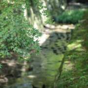 ヒメ日記 2026/01/22 16:23 投稿 舞(まい) ロケットワイフ