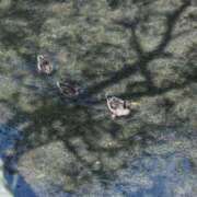 ヒメ日記 2026/01/22 21:37 投稿 舞(まい) ロケットワイフ