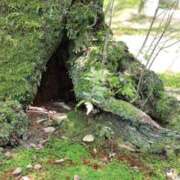 ヒメ日記 2026/01/23 12:05 投稿 舞(まい) ロケットワイフ