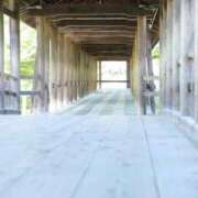 ヒメ日記 2026/01/27 12:37 投稿 舞(まい) ロケットワイフ