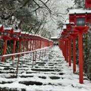 ヒメ日記 2026/02/08 09:51 投稿 舞(まい) ロケットワイフ