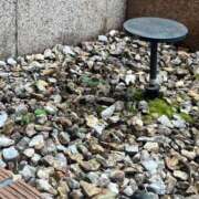 ヒメ日記 2026/02/12 21:32 投稿 舞(まい) ロケットワイフ