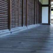 ヒメ日記 2026/02/17 08:15 投稿 舞(まい) ロケットワイフ