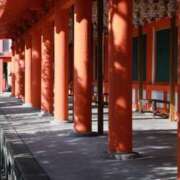 ヒメ日記 2026/02/20 09:15 投稿 舞(まい) ロケットワイフ