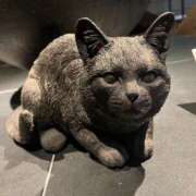 ヒメ日記 2026/02/22 09:47 投稿 舞(まい) ロケットワイフ