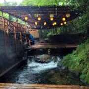 ヒメ日記 2026/03/11 22:22 投稿 舞(まい) ロケットワイフ