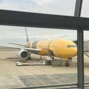 ヒメ日記 2026/03/14 23:32 投稿 舞(まい) ロケットワイフ