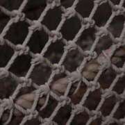 ヒメ日記 2026/03/17 22:18 投稿 舞(まい) ロケットワイフ