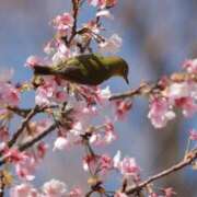 ヒメ日記 2026/03/23 14:47 投稿 舞(まい) ロケットワイフ