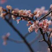 ヒメ日記 2026/03/29 11:43 投稿 舞(まい) ロケットワイフ