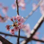 ヒメ日記 2026/03/30 23:15 投稿 舞(まい) ロケットワイフ