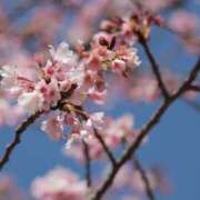 ヒメ日記 2026/04/04 22:35 投稿 舞(まい) ロケットワイフ