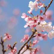 ヒメ日記 2026/04/07 14:48 投稿 舞(まい) ロケットワイフ