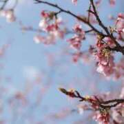 ヒメ日記 2026/04/07 20:46 投稿 舞(まい) ロケットワイフ