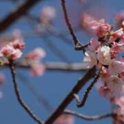 ヒメ日記 2026/04/08 13:51 投稿 舞(まい) ロケットワイフ