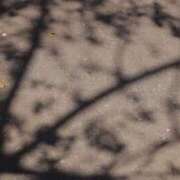 ヒメ日記 2026/04/09 07:07 投稿 舞(まい) ロケットワイフ